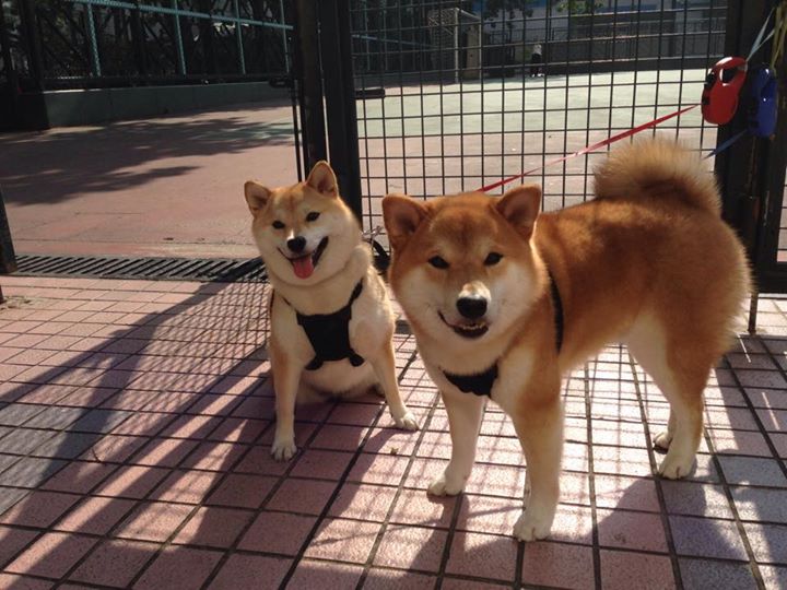 爱游戏官网-阿尔梅利亚客场战胜赫罗纳，取得胜利，阿尔梅里亚vs赫罗纳