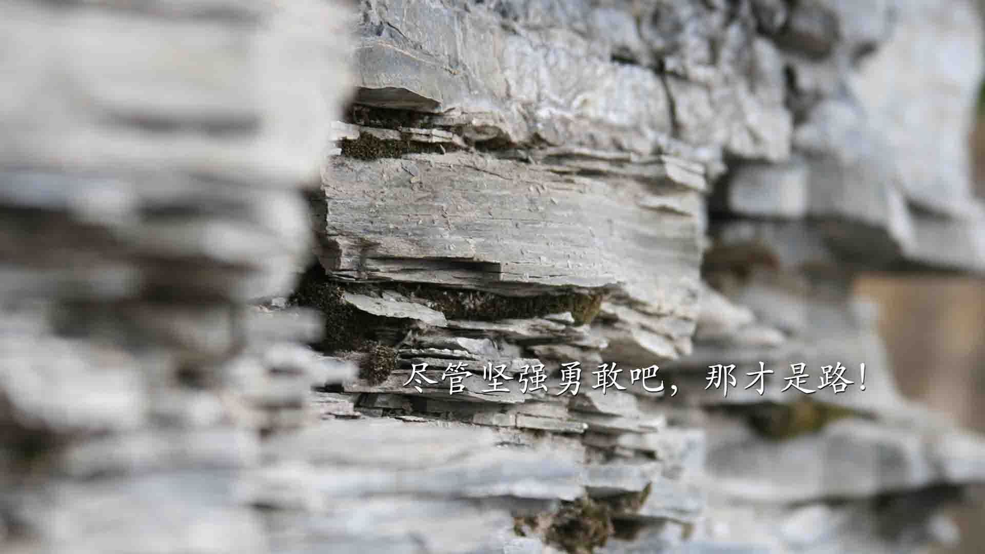 中国篮球联赛观众行为特征分析及市场细分策略，篮球比赛中观众的规则