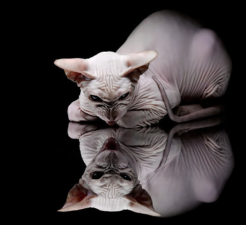 中小学体育教师专业发展路径,中小学体育教师服装发放标准