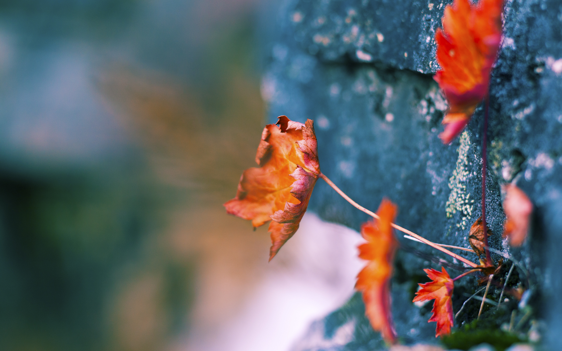 中超俱乐部年度财务投入趋势，中超俱乐部每年投入