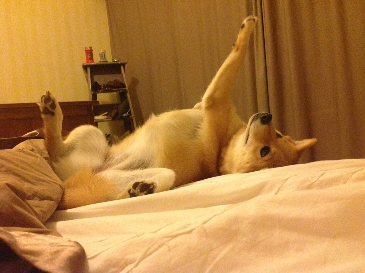 中超后场传导安全性评分模型