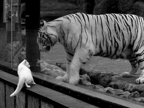 爱游戏官方-城市体育空间利用效率分析与优化建议，城市体育发展现状