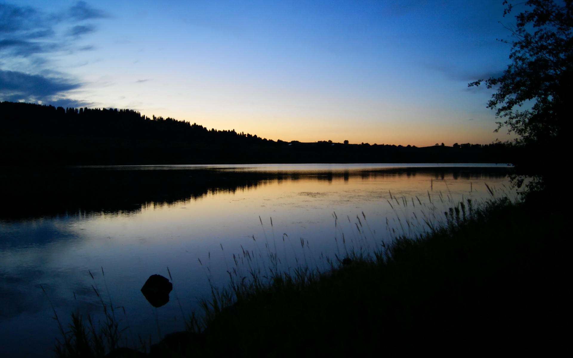 爱游戏娱乐-“尼古拉斯·桑特基的防守与进攻兼备，为阿根廷美洲狮队带来致命威胁”