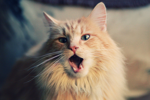 爱游戏体育（AYX）官方APP下载-世界杯关键战：瞬间决定晋级命运的争夺，世界杯关机