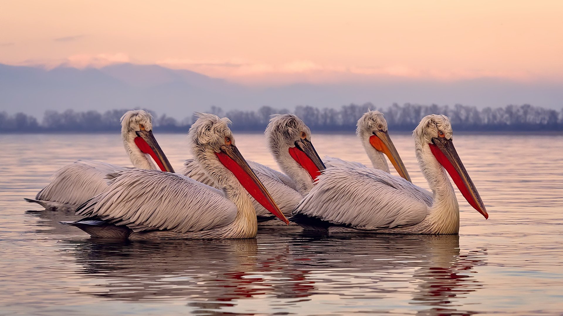 中国足球职业联赛建立球员社会影响评估体系,中国足球球员规划