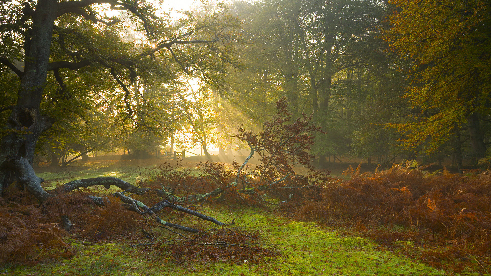 AYX GAME-国家体育总局发布 2025 年度全民健身计划，《全民健身计划(2021—2025年)》