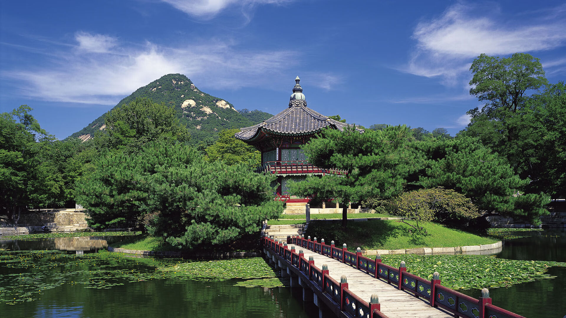 爱游戏平台-职业俱乐部青训人才注册系统实现全国信息互通管理，职业联赛青训