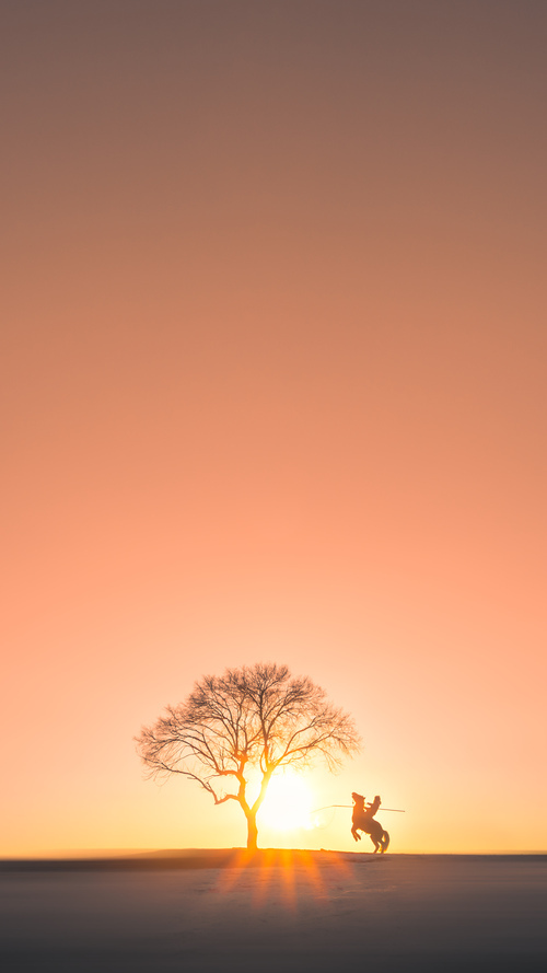 爱游戏娱乐网址-莫莉·奥卡拉汉冲刺阶段技压群雄，奥斯卡莫利亚